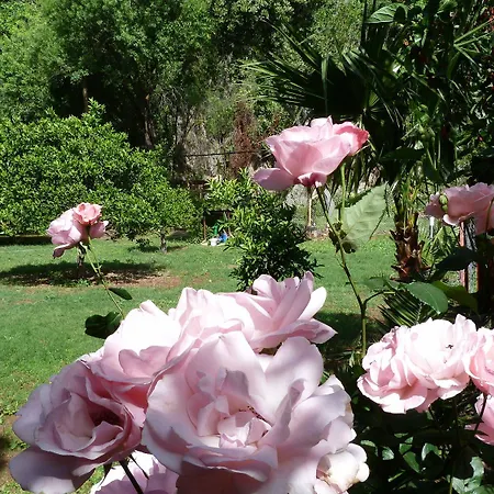 Simge Guest house Cirali