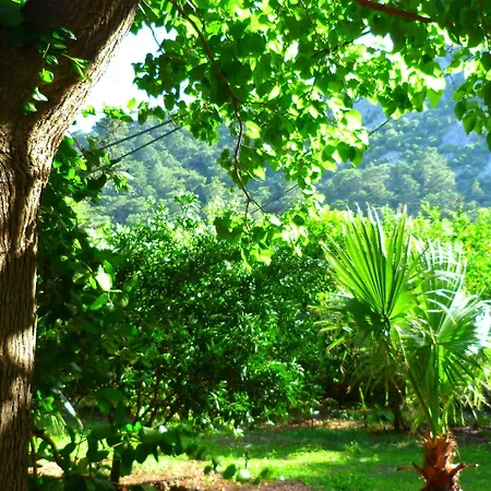 Simge Guest house