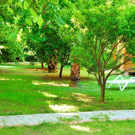 Simge Guest house Cirali