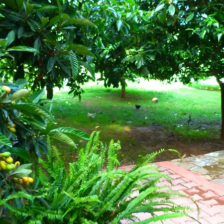 斯姆格旅馆 凯梅尔