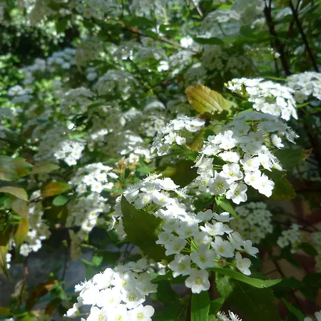 斯姆格旅馆 招待所