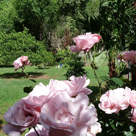 Simge ゲストハウス