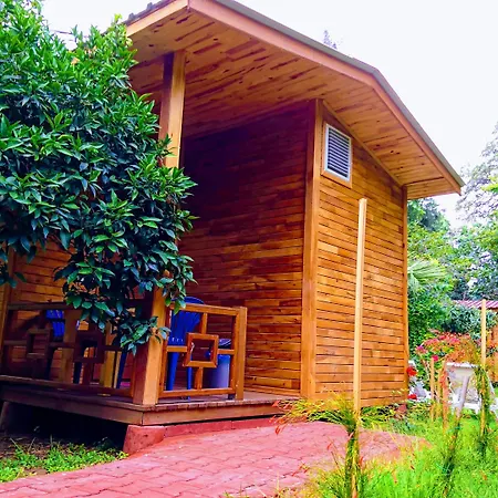 招待所 斯姆格旅馆 4*