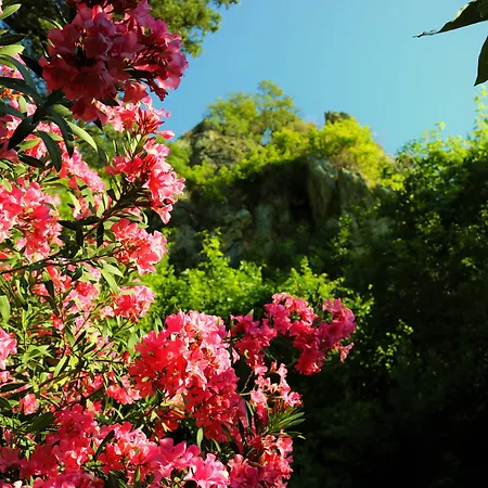 Pensjonat Simge Kemer