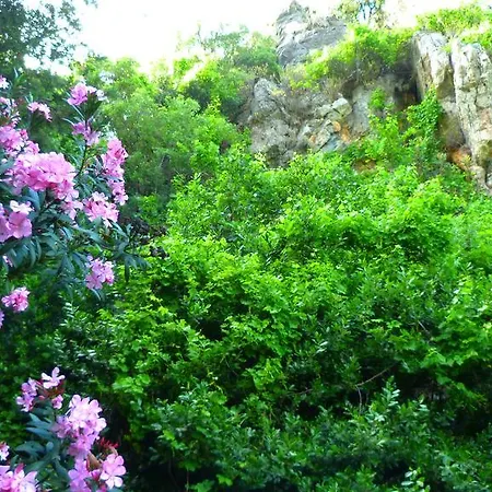 Simge Guest house
