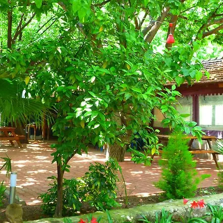 Guest house Simge 2*