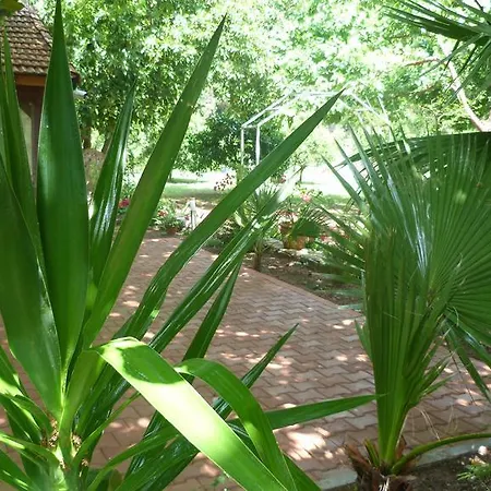 Guest house Simge 2*