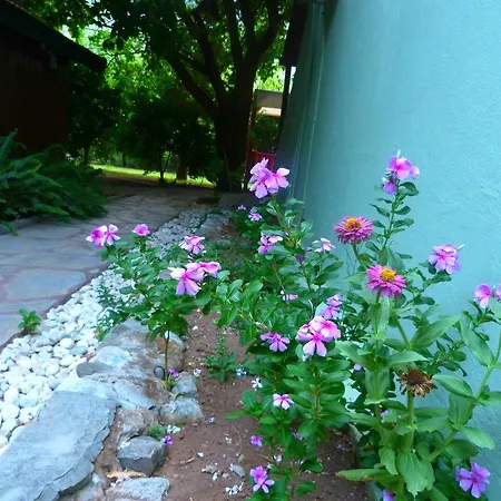 Simge Guest house Cirali