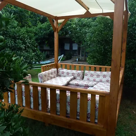 Guest house Simge 2*