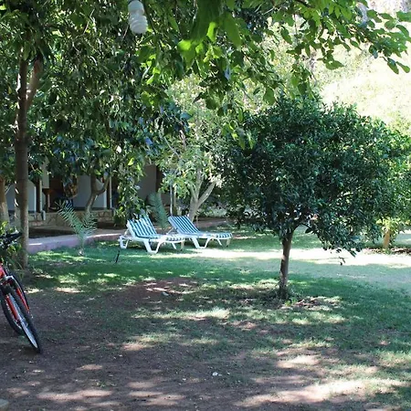 Guest house Simge 2*
