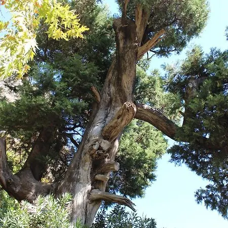 ゲストハウス Simge