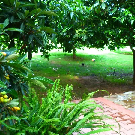 Guest house Simge