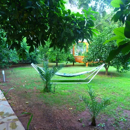 Simge Guest house Cirali