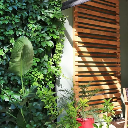 Simge Guest house Cirali