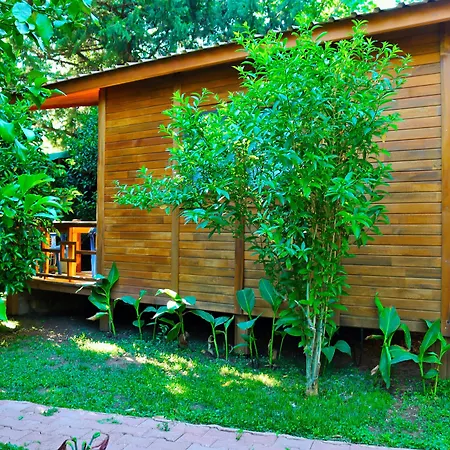 Simge Guest house Cirali