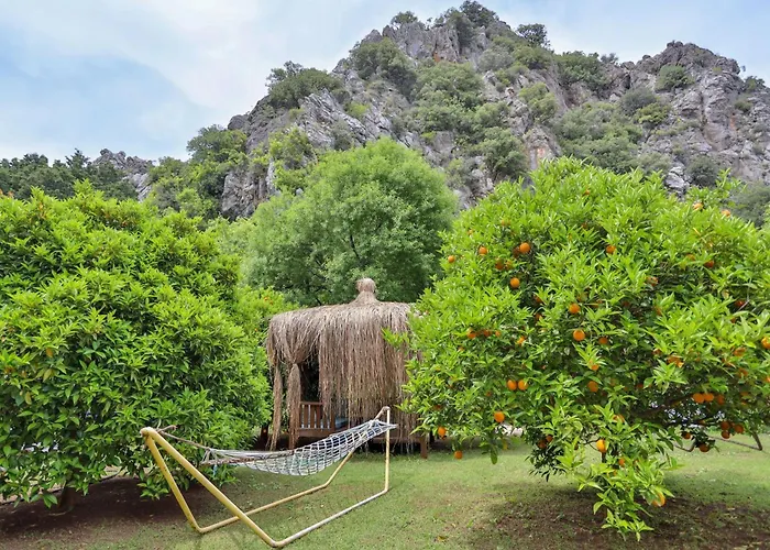 Guest house Simge 4*